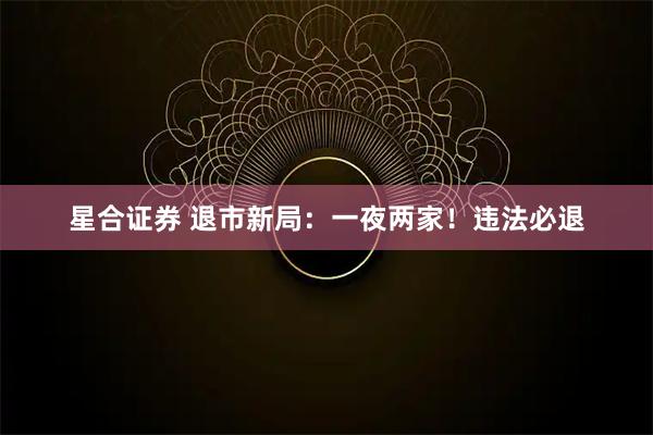 星合证券 退市新局:一夜两家!违法必退