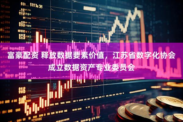 富豪配资 释放数据要素价值,江苏省数字化协会成立数据资产专业委员会
