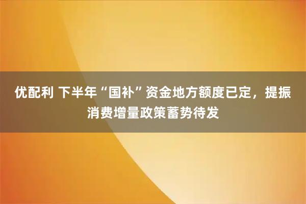 优配利 下半年“国补”资金地方额度已定，提振消费增量政策蓄势待发