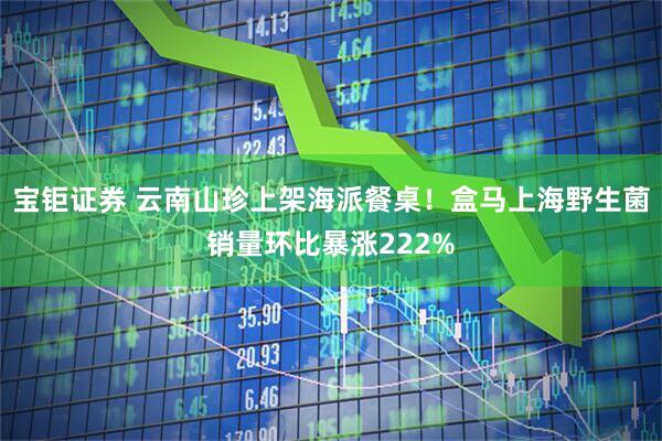 宝钜证券 云南山珍上架海派餐桌！盒马上海野生菌销量环比暴涨222%