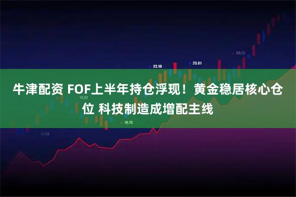 牛津配资 FOF上半年持仓浮现！黄金稳居核心仓位 科技制造成增配主线